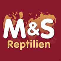 instructor camden david